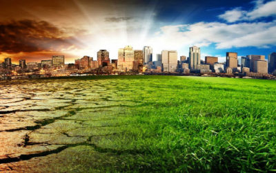 Agriculture Fit For A Complex World
