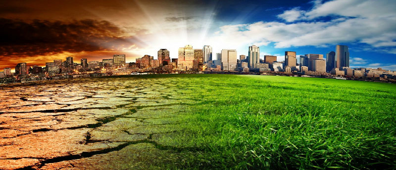 complex agriculture