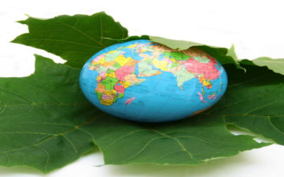 That Way Lies Prosperity: Sustainability and the Nexus