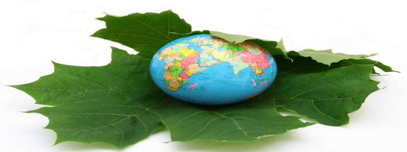 sustainability and the nexus