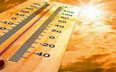 Taking The Temperature of Trust