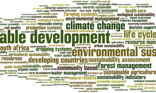 CECAN Seminar: Evaluating Sustainability – Is It Possible? A Case for Focusing on Evaluating Decision-Making for Sustainable Development