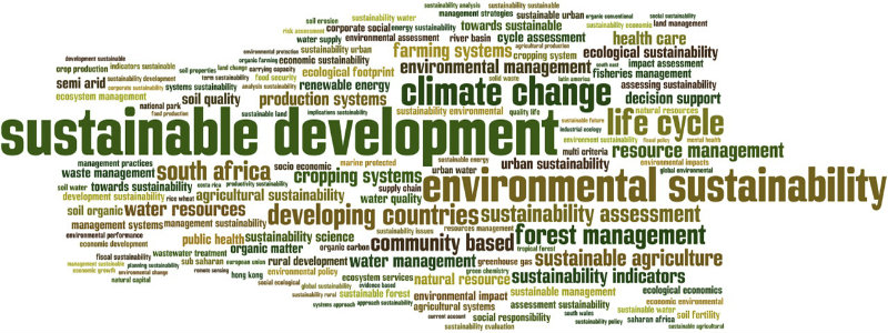 "Evaluating sustainability – is it possible? A case for focusing on evaluating decision-making for sustainable development."