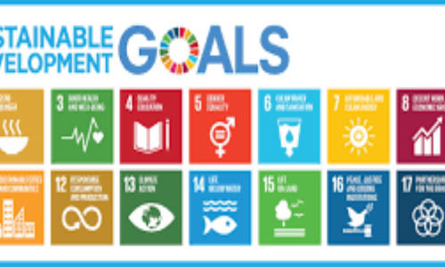 CECAN Seminar: Evaluation in Follow Up and Review Processes of the SDGs: Future Vision and Current Practice