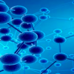 CECAN Webinar: Complexity Theory and “Invisible Mechanisms”: Implications for Methods and Commissioning