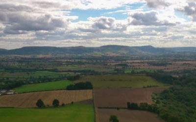 Looking Through a Glass Darkly: Public Goods and Agricultural Policy