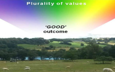 A Pluralistic Evaluation Framework