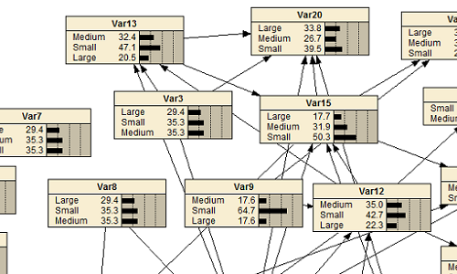 CECAN Webinar: Handling Subjective Views and Bringing Rigour to Contribution Analysis: Bayesian Belief Networks and Evaluating Likelihoods in Action