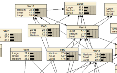 CECAN Webinar: Evaluation Under Uncertainty – Use of Bayesian Belief Networks