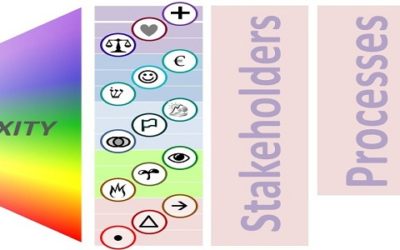 The Story of the Pluralistic Evaluation Framework