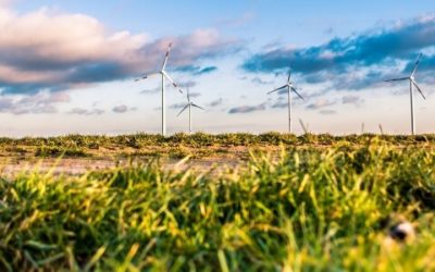 CECAN Case Study Report: BEIS Energy Trilemma