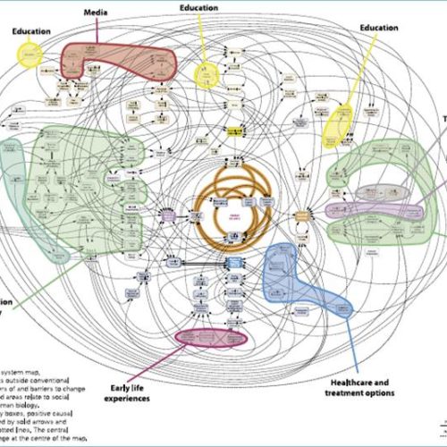 CECAN Webinar: The Human, Learning, Systems Approach to Managing in Complexity