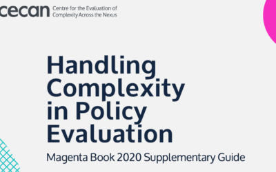 Handling Complexity in Policy Evaluation – Magenta Book 2020 Supplementary Guide