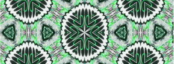 EPPN 6