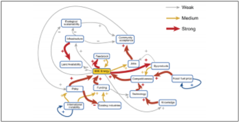 Participatory Systems Mapping