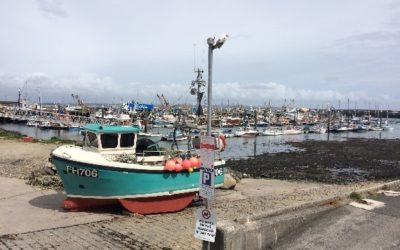 Policy Internship – Abandoned, Lost and Discarded Fishing Gear – A Fisherman’s Perspective