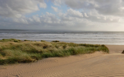 Exploring the Intersection Between Local Governance and the Natural Capital Approach in the Marine Pioneer (Summary Report)
