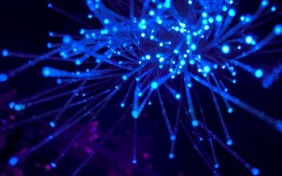 CECAN Webinar: Trophic Analysis of Directed Networks