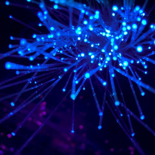 CECAN Webinar: Trophic Analysis of Directed Networks