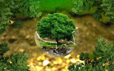 CECAN Webinar: A Systems Approach to Environmental Policy in Defra