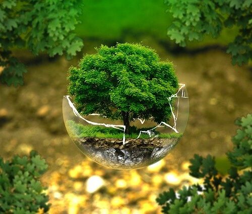 CECAN Webinar: A Systems Approach to Environmental Policy in Defra