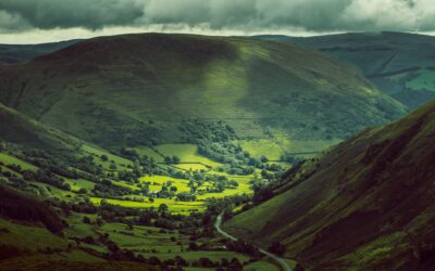 What would a complexity-appropriate evaluation framework for England’s action on nature over the next 10 years look like?