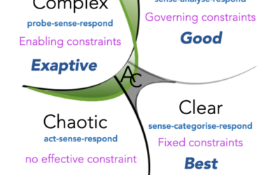 CECAN Webinar: Cynefin – Navigating Uncertainty