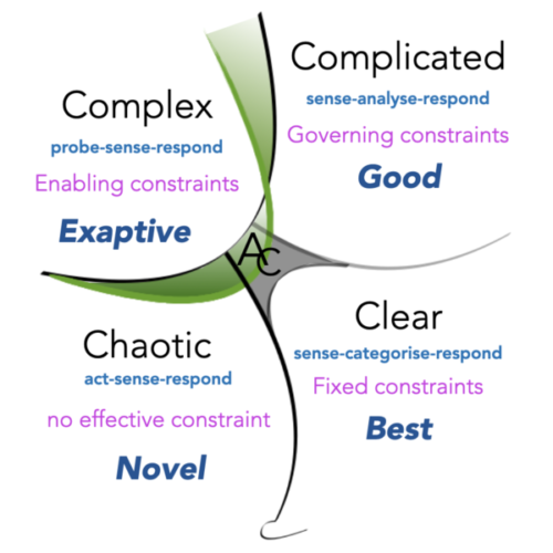 CECAN Webinar: Cynefin - Navigating Uncertainty