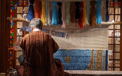 CECAN Webinar: Reflecting and Learning: Using Contribution Analysis